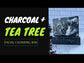 Charcoal + Tea Tree Aloe Face Bar